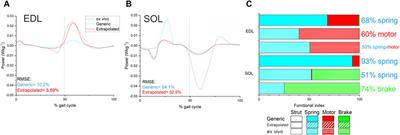 The impacts of muscle-specific force-velocity properties on predictions of mouse muscle function during locomotion